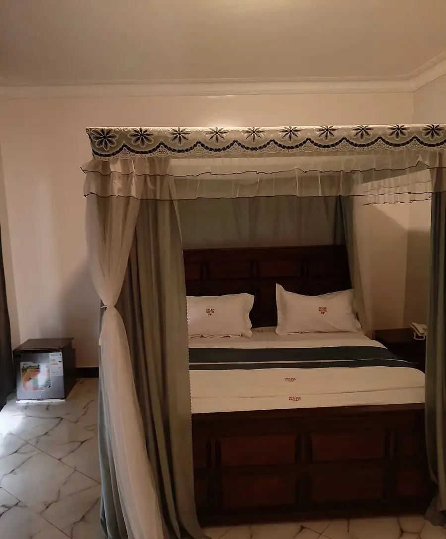 Bed with canopy netting